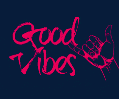 Jannes Horn Janneshorn GIF