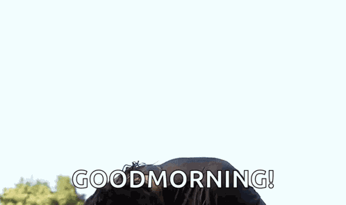 Jason Momoa Jason GIF