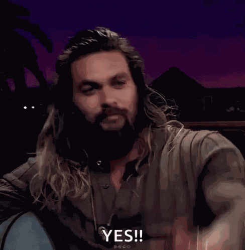 Jason Momoa Thats True GIF
