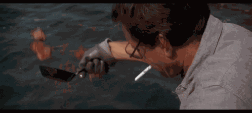 Jaws Tubarao GIF