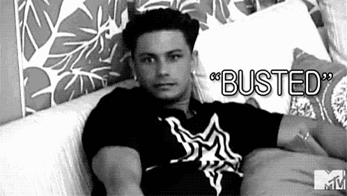 Jersey Shore Busted Pauly D Shore GIF
