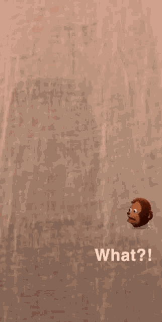 Jessie Lito What GIF