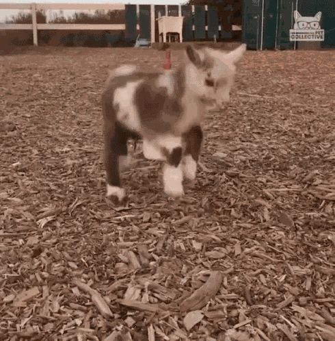 Jesus Loves You GIF