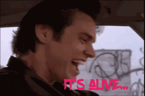 Jim Carrey Ace Ventura GIF