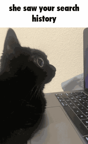 Jinx Cat GIF