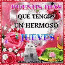 Joan Good Morning GIF