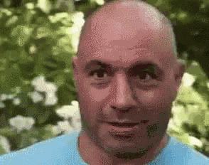 Joe Rogan Abandon Thread GIF