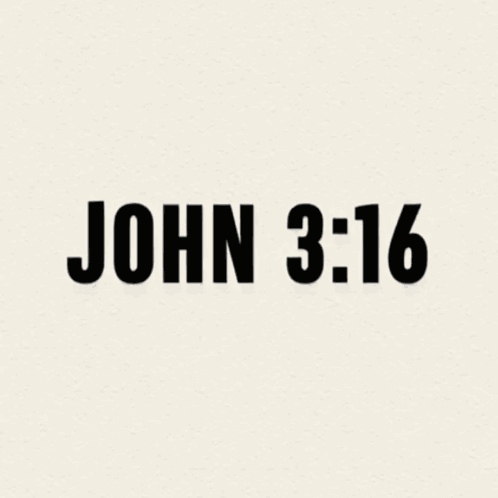 John 3 16 John 316 GIF