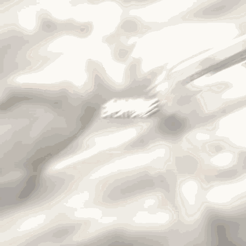 Jojo'S Bizarre Adventure Everyone Get In The Car GIF