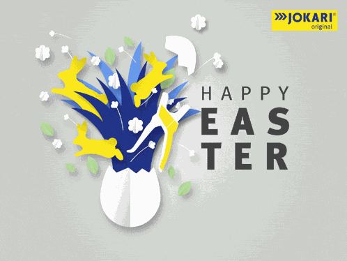 Jokari Original GIF