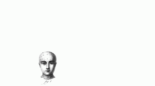 Joke Over GIF