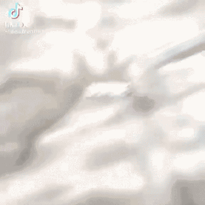 Joseph Joestar GIF