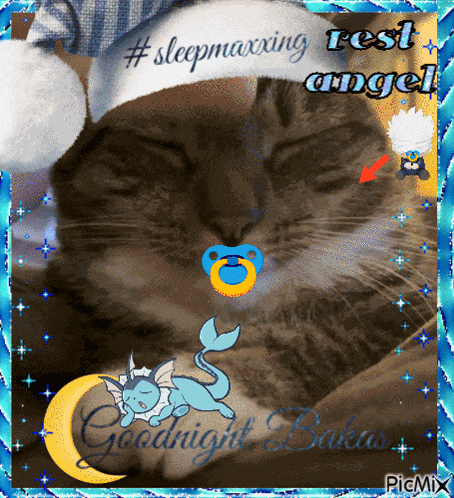 Josie The Cat Eaveel GIF