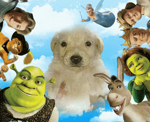Jotchua Shrek GIF