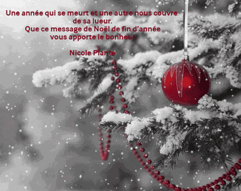 Joyeuses Fetes GIF