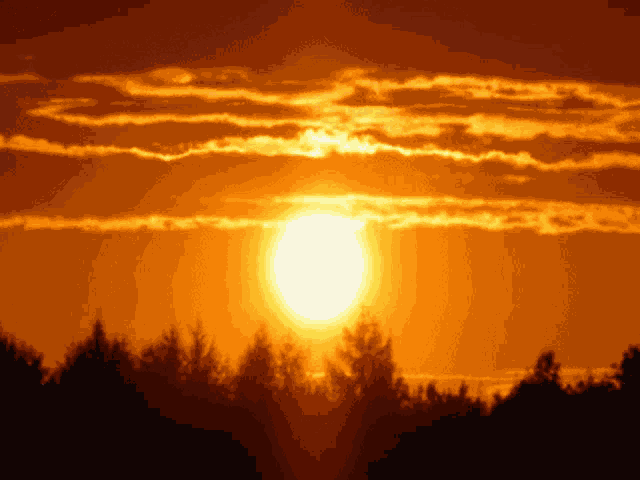 Jrny Crypto Tony Wut Face Sunset GIF