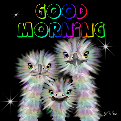 Js San Gif Good Morning Gif Cute GIF