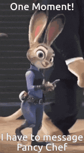Judy Hopps Chronicles GIF