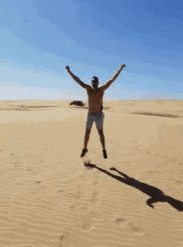 Jumping Desert GIF
