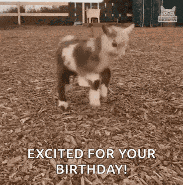 Jumping Kid Jumping GIF