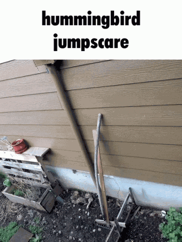 Jumpscare Boo GIF