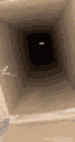 Jumpscare Cat GIF