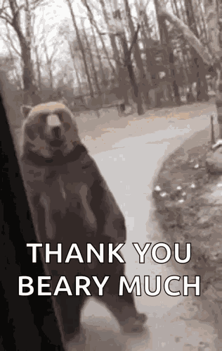 Kaden Bear GIF