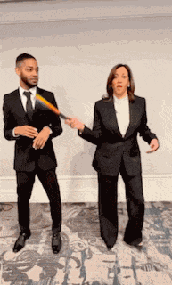 Kamala Harris Fan GIF