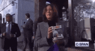 Kamala Harris Stan Twitter GIF