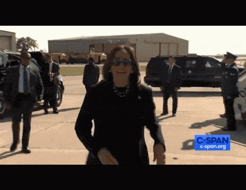 Kamala Harris Tarmac GIF