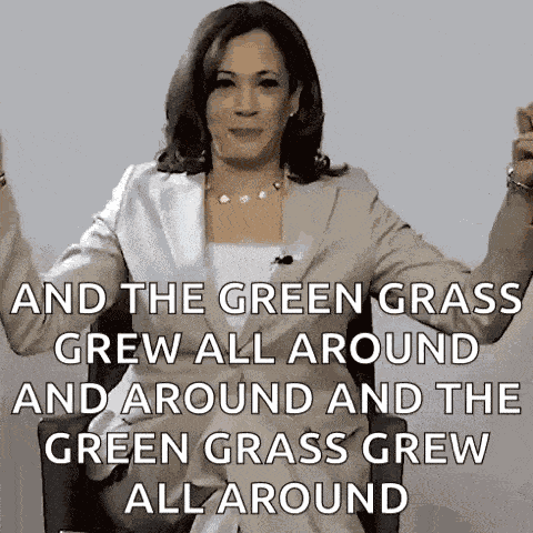 Kamala Harris Vice President GIF