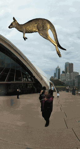 Kangaroo Jump GIF