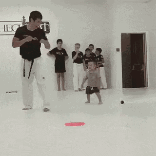 Karate Karate Kid GIF