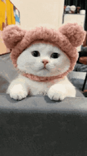 Katze Schleck GIF