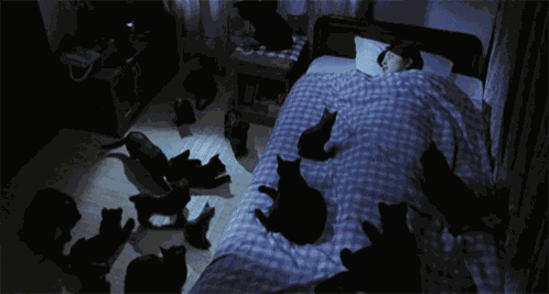 Kayako Kayako Saeki GIF