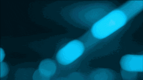 Kcorp Yike Lec 2025 GIF