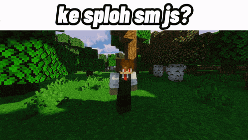 Ke Sploh Sm Js GIF GIF