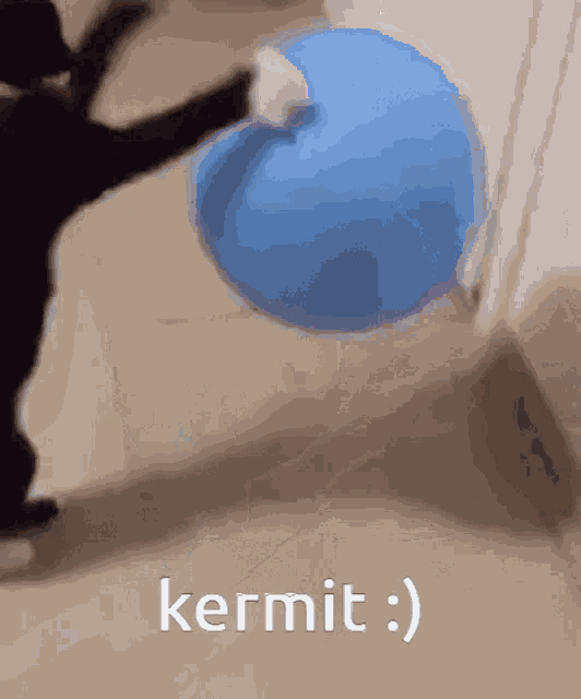 Kermit Cat GIF