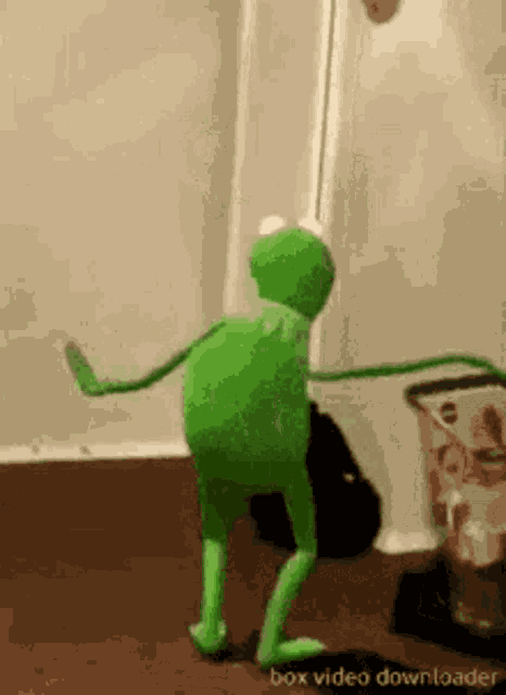 Kermit Is Bos GIF