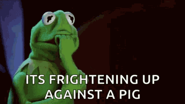 Kermit Kermit The Frog GIF