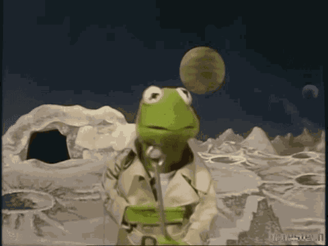 Kermit Kermit The Frog GIF