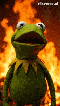 Kermit Kermit The Frog GIF