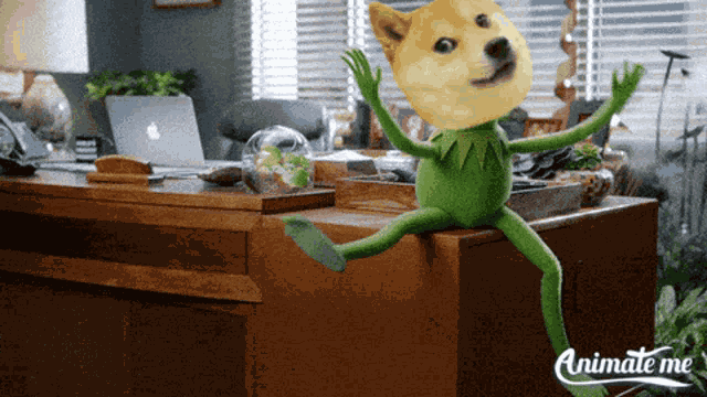 Kermit Kermit The Frog GIF