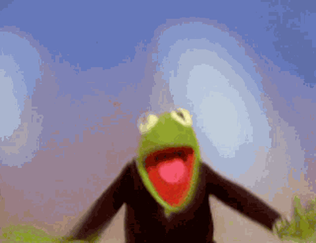 Kermit Smiling GIF