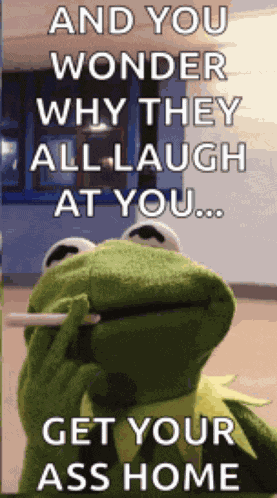 Kermit Smoke Meme