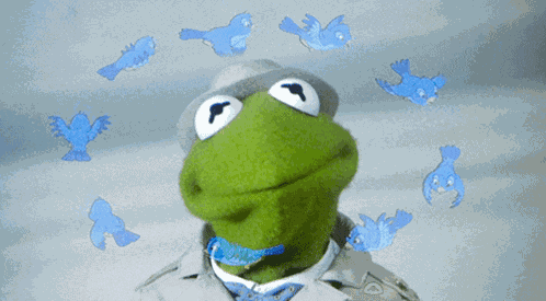 Kermit The Frog Birds GIF