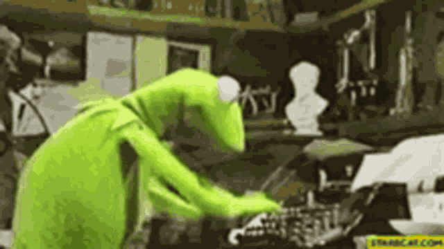 Kermit The Frog GIF