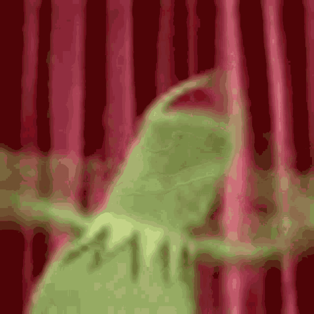 Kermit The Frog Dancing GIF