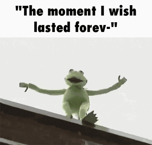 Kermit The Frog Kermit Meme GIF