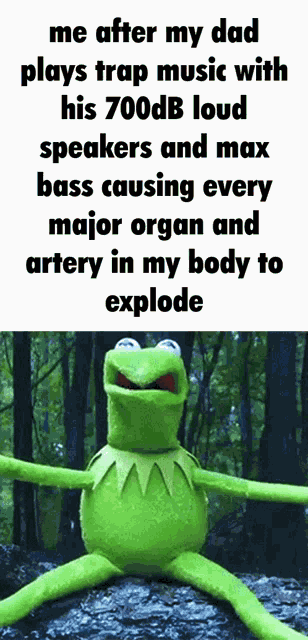 Kermit The Frog Kermit GIF